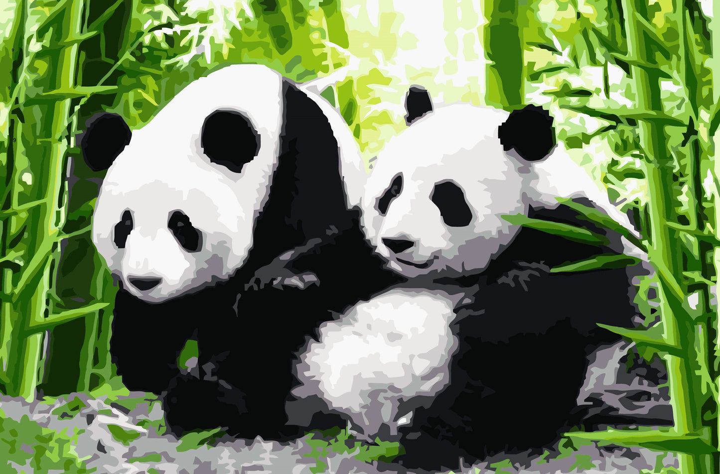 Peinture par numéros Panda