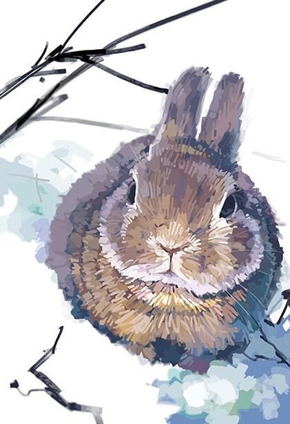 Lapin marron - Peinture par numéros