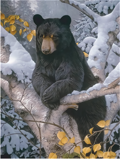 Black Bear Paint by Numbers