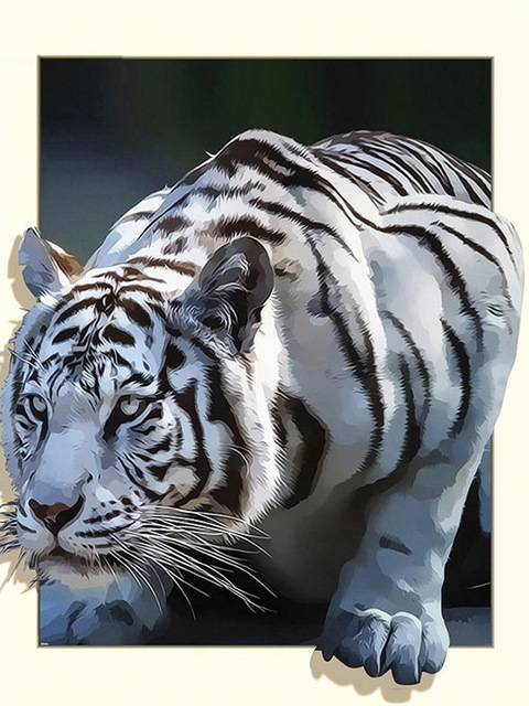 White Tiger Paint by Numbers