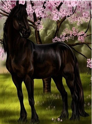 Cheval noir Peindre par numéros