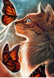 Papillon et chat Peinture par numéros