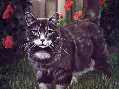 Peinture de chat par numéros