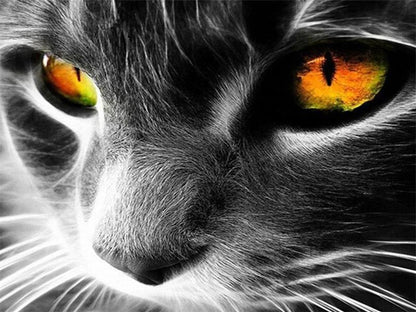 Yeux de chat grisPeinture par numéros