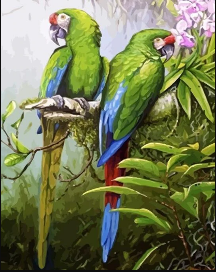 Blue Bird Paint by Numbers