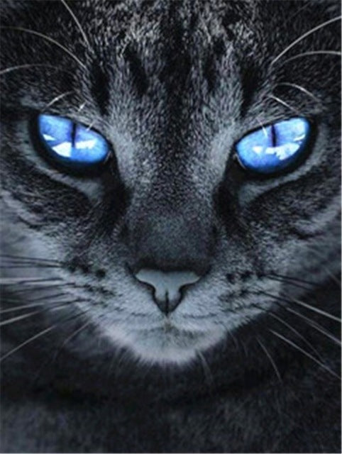 Cat Paint by Numbers
