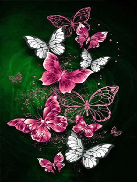 Papillon Peinture par numéros