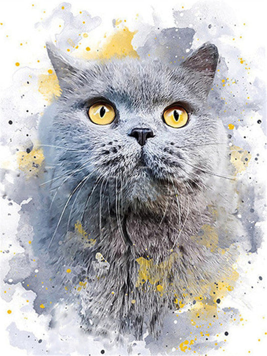 Gray Cat Paint by Numbers