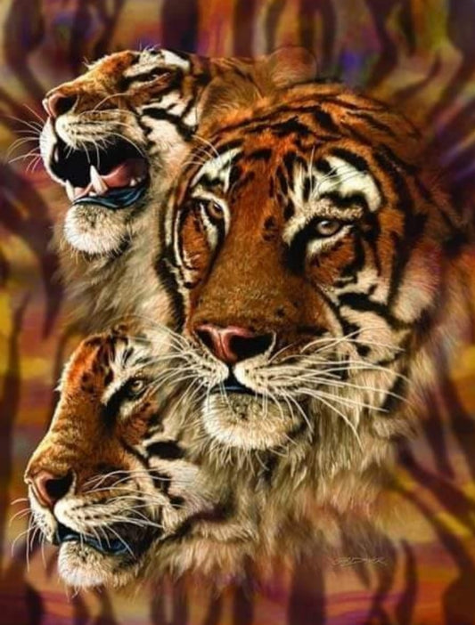 Peinture par numéros de tigre