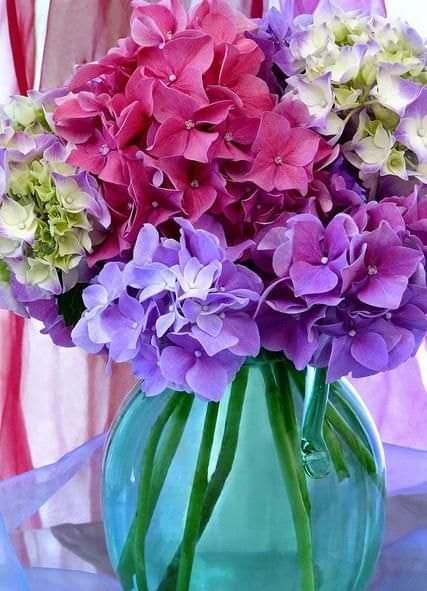 Fleurs  Peinture par numéros