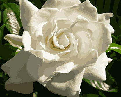 Fleur  Peinture par numéros