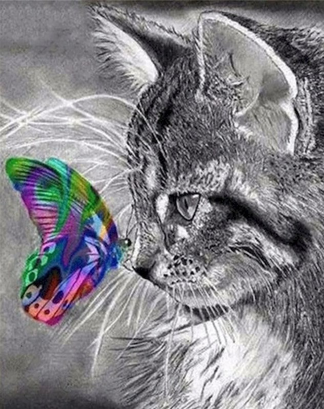 Cat Paint by Numbers