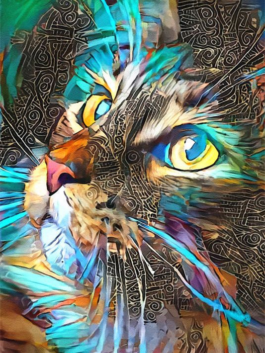 Peinture par numéros de chat