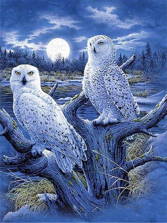 Hibou Peinture par numéros