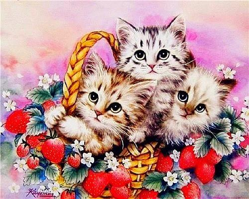Paint by Numbers Cat