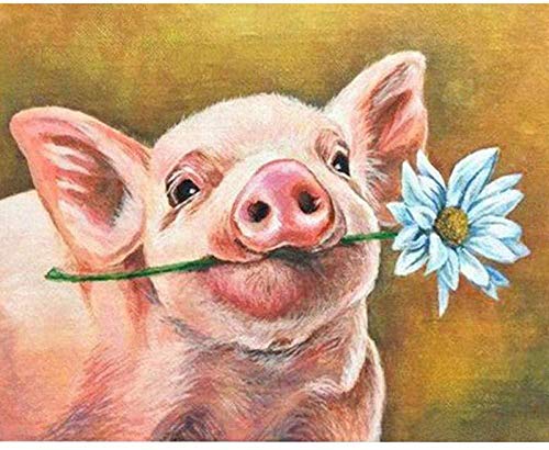 Cochon Peindre par numéros
