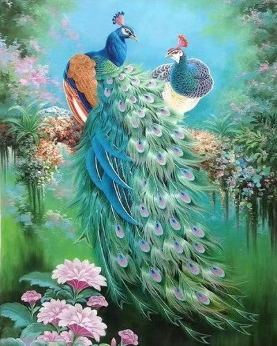 Paon Peinture par numéros