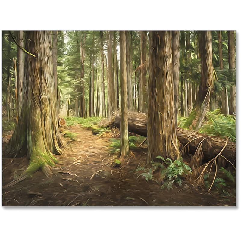 Forest Paint by Numbers