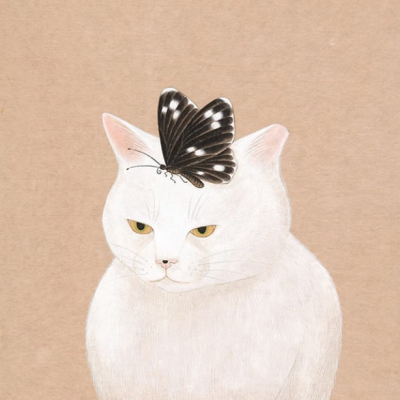 Chat de couleur blanche par numéros