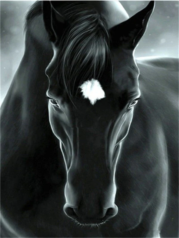 Horses Paint by Numbers