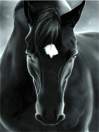 Horses Paint by Numbers