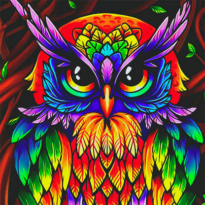 Owl Paint by Numbers
