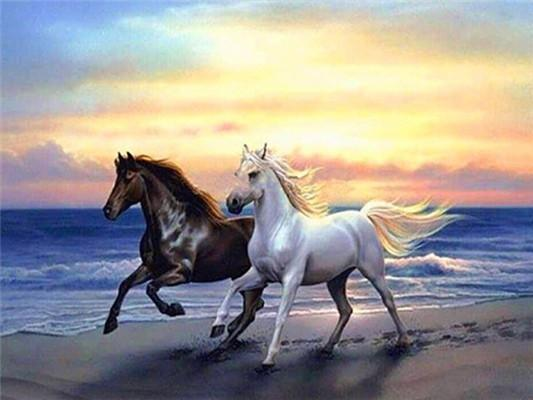 Two Horses Paint by Numbers
