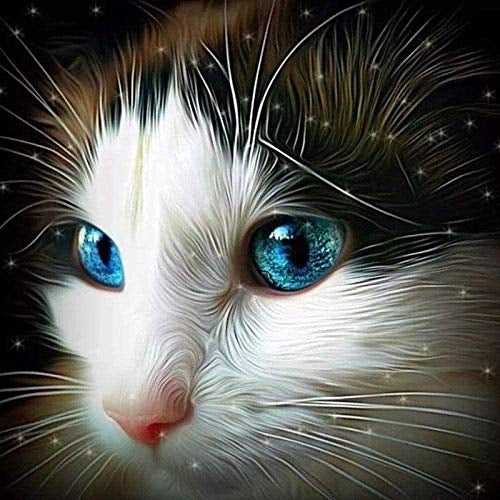 Chat Peindre par Numéros