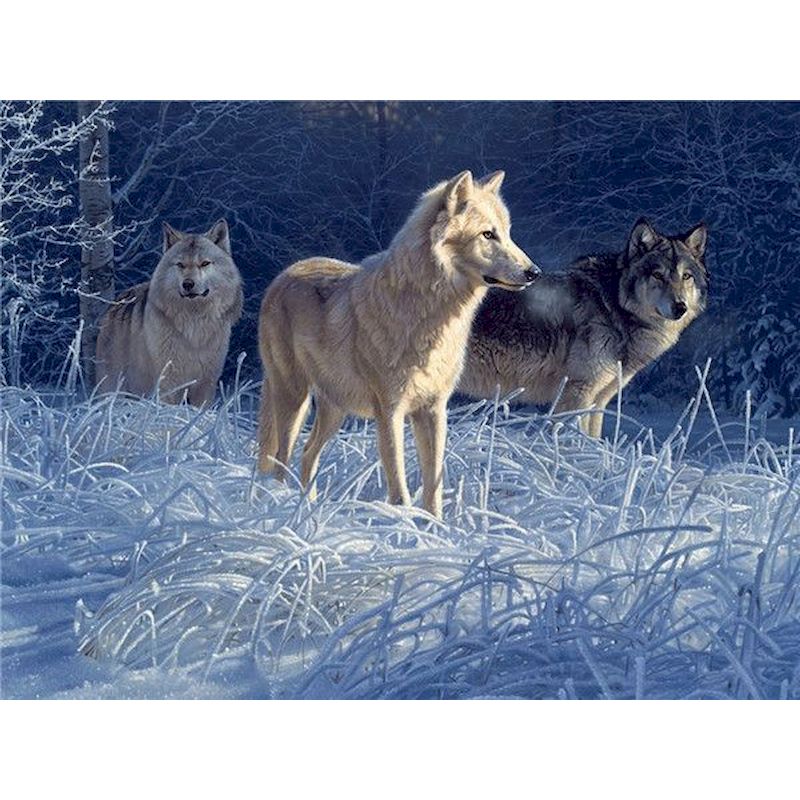 Meute de loups Peinture par numéros