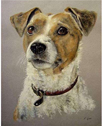 Puppy Paint by Numbers