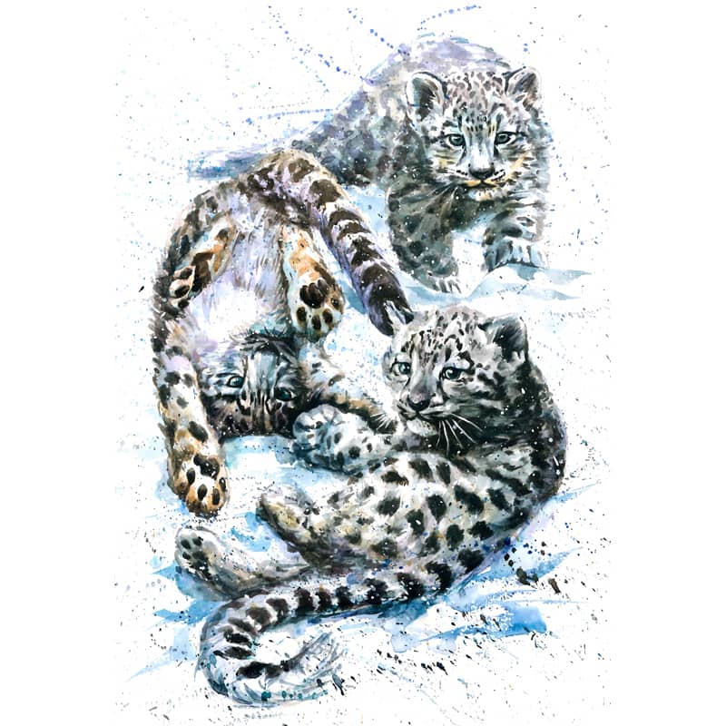 tabby   Peinture au numéro