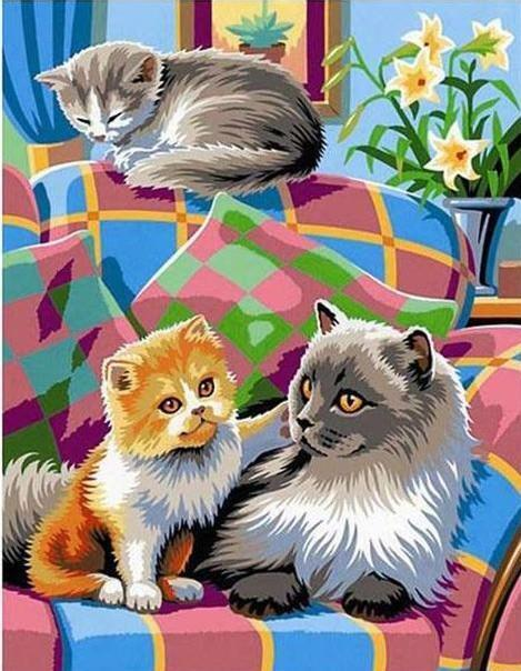 Paint by Numbers Cats