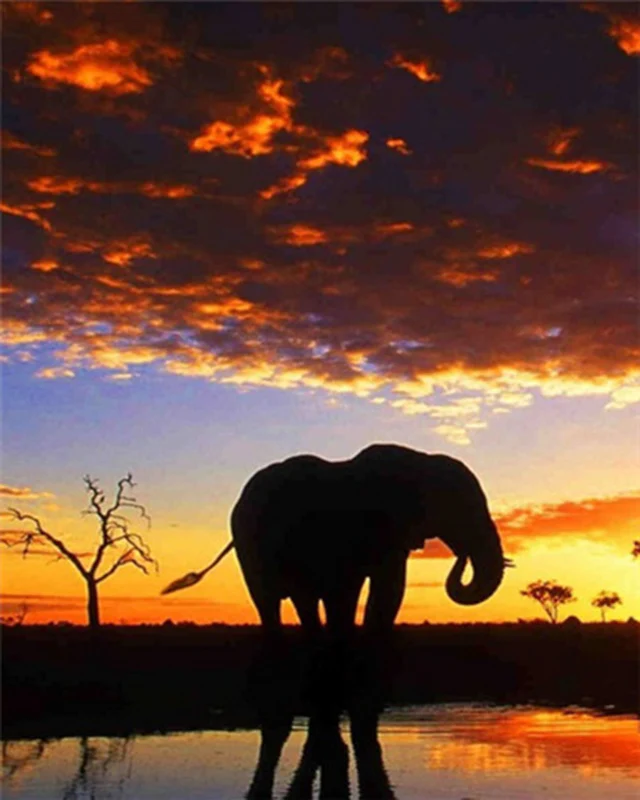 Éléphant - Peinture par numéros