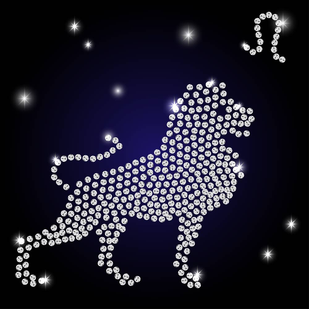 Lion Paint by Numbers