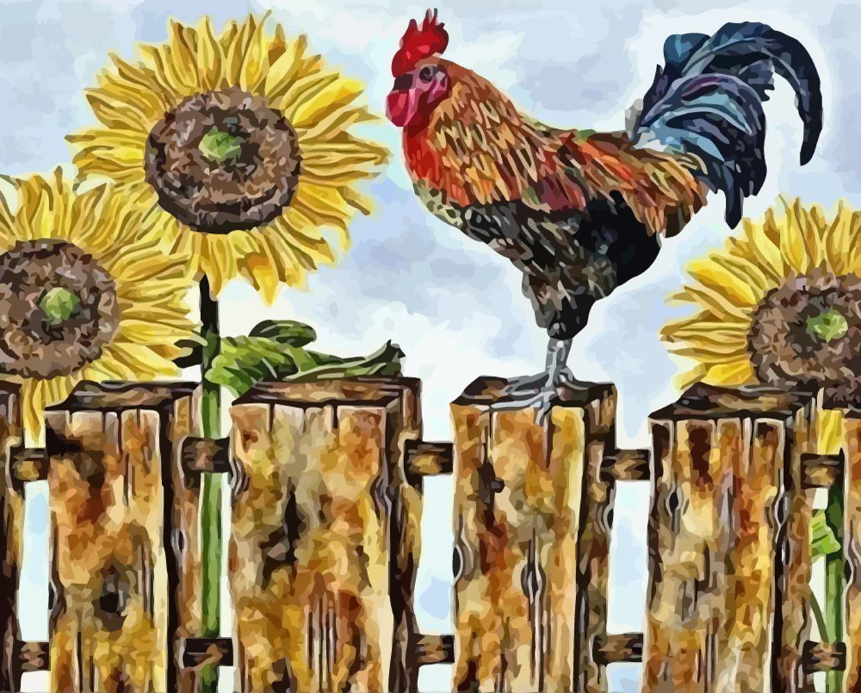 Coq tournesol  Peinture par numéros
