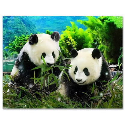 Panda Peinture par Numéros