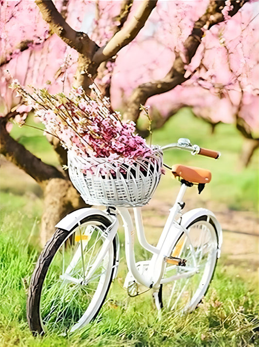 Vélo  Peinture par numéros