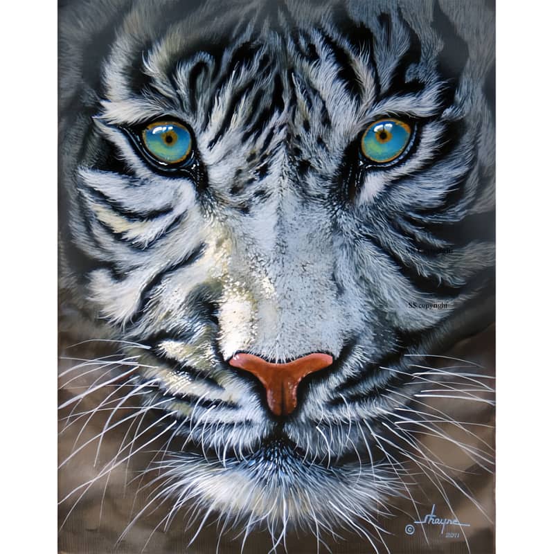 Tigre blanc - Peinture par numéros