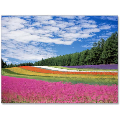 Peinture par numéros de pâturages