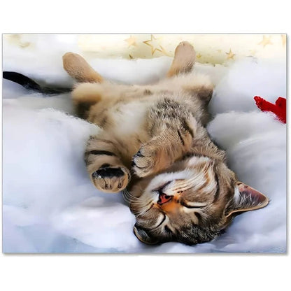 Chat Peinture par numéros
