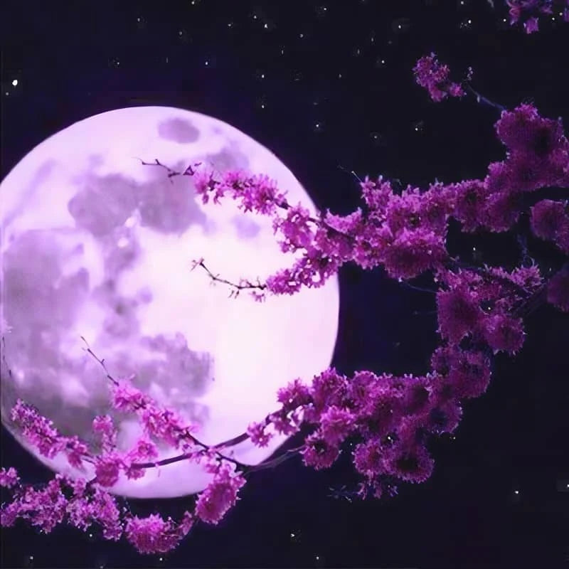 Purple Moon Paint by Numbers