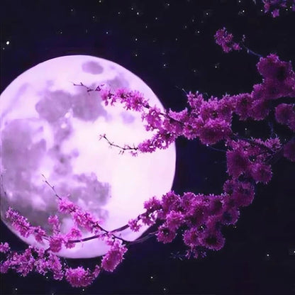 Purple Moon Paint by Numbers