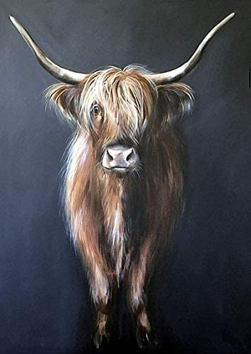 Tête de taureau  Peinture par numéros