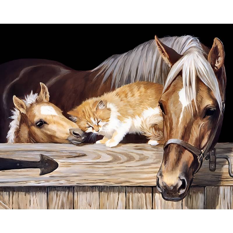Cheval Peinture par numéros