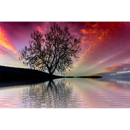 Paint by Numbers Trees