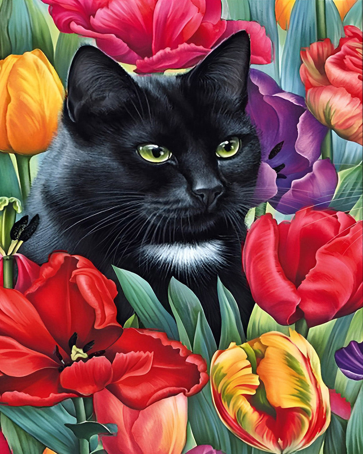 Peinture par numéros Chat
