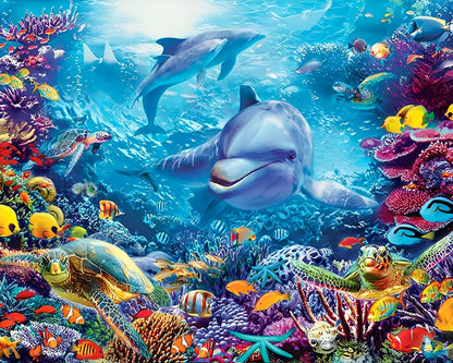 Nemo : La Peinture par Numéros