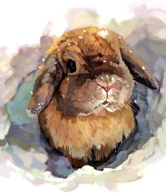 Lapin Peindre par Numéros