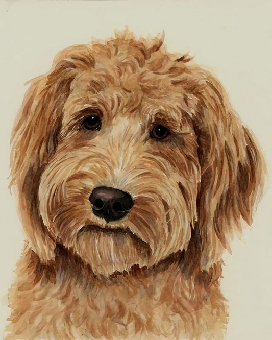 Chien Peinture par numéros