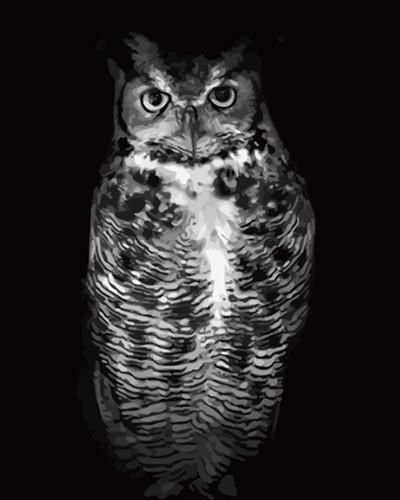 Hibou  Peinture par numéros